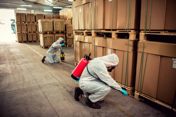 Best Emergency Pest Control  in New Beaver, PA