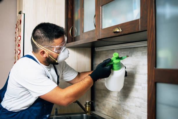 Best Pest Prevention Services  in New Beaver, PA