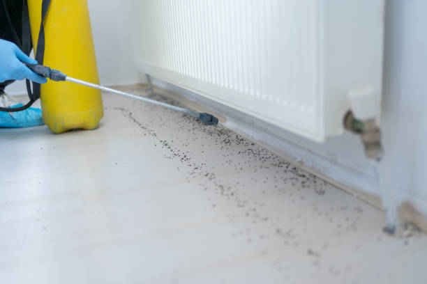 Best Bed Bug Extermination  in New Beaver, PA